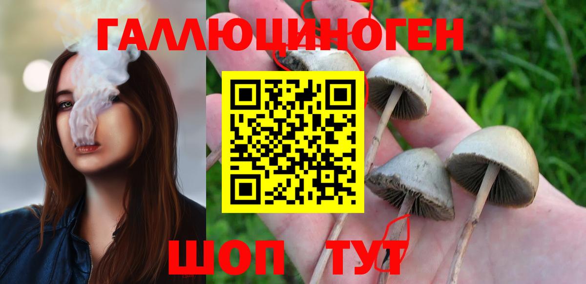 Псилоцибиновые грибы Psilocybe  Вход с VPN  Надым  Галлюциногенные грибы MAGIC MUSHROOMS 
